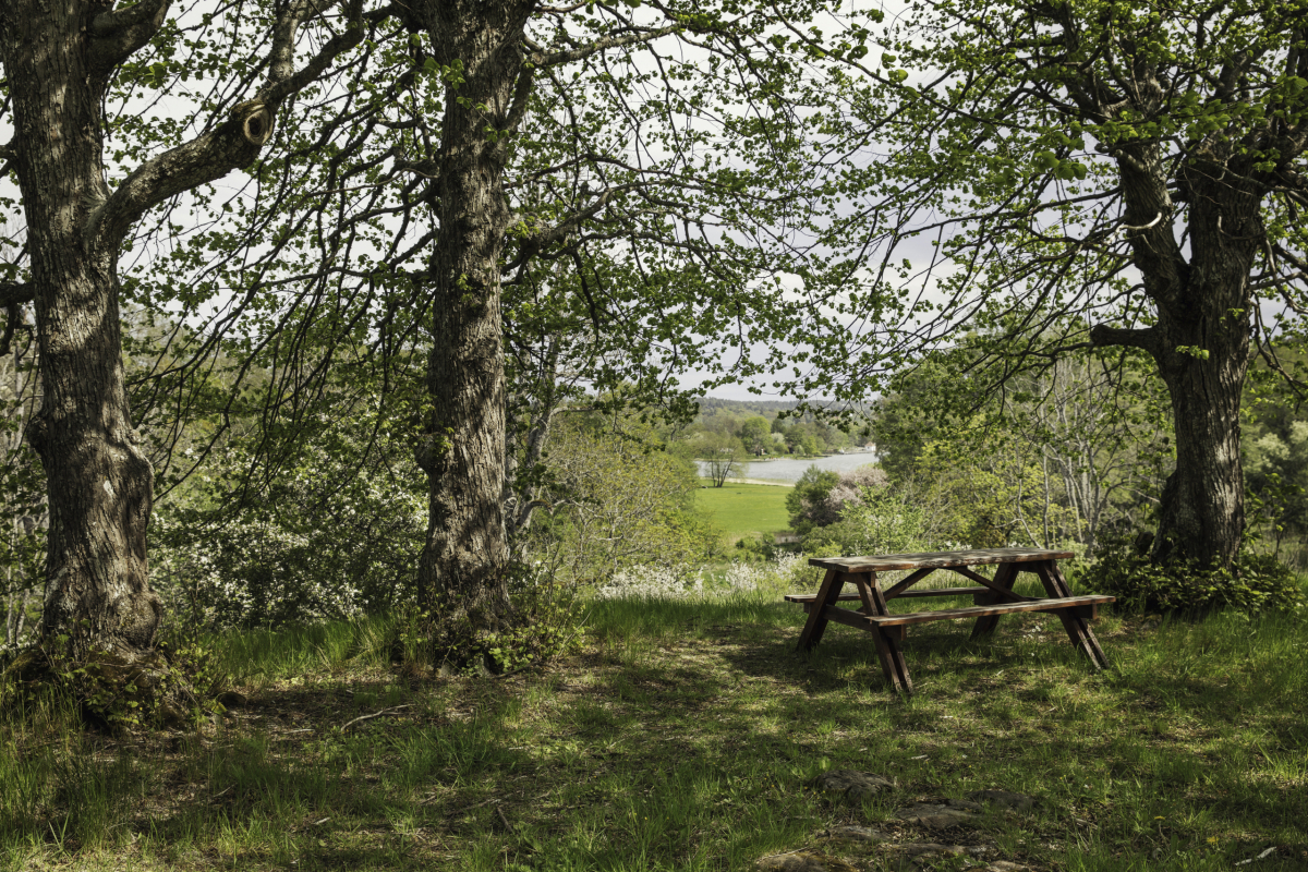 Aktuellt på prinsvillan
